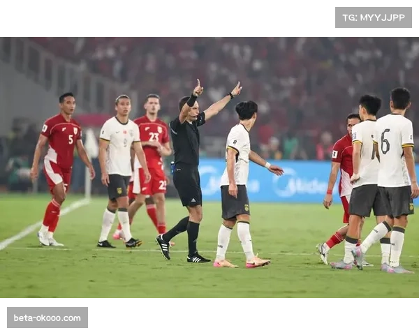 印尼国门奥代罗伤退无缘10月世预赛 球队面临守门难题